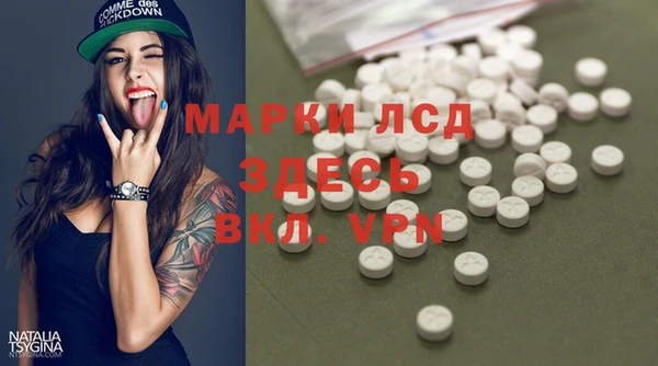 apvp Алзамай