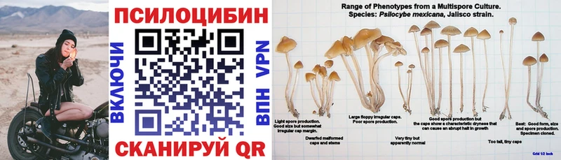 Псилоцибиновые грибы мицелий Менделеевск